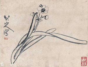 八大山人‧水仙圖(水墨紙本)