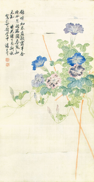 牽牛花